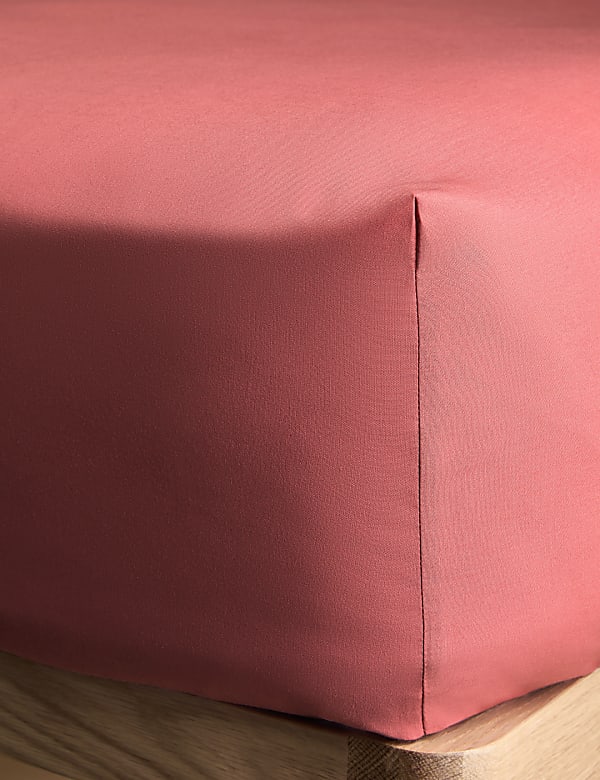 Cotton Rich Fitted Sheet - US