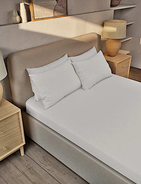 Pure Brushed Cotton Fitted Sheet - CY