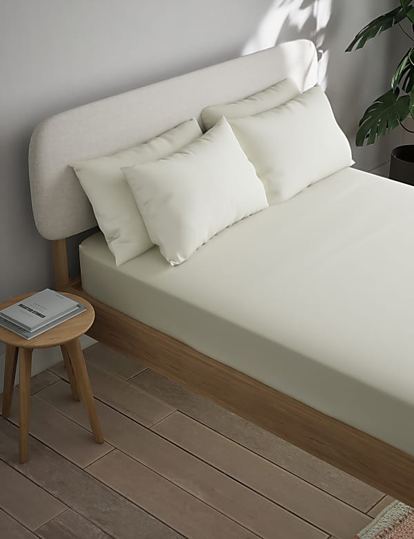 Cotton Blend Non Iron Fitted Sheet - CZ