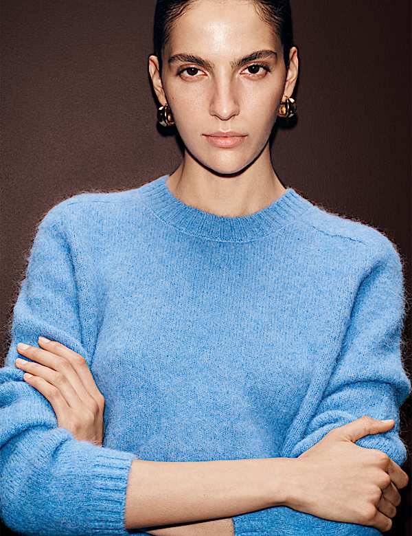 Alpaca Rich Crew Neck Jumper - AL