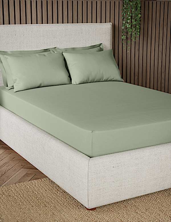 Parure de lit et drap 100 % coton Guest Essentials avec une densité de tissage de 300 fils - CH