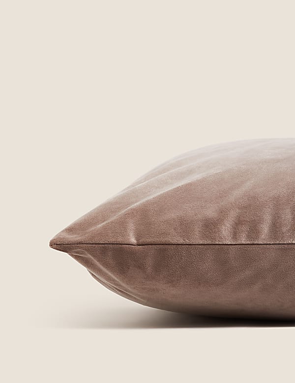 Velvet Cushion