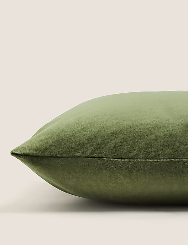 Velvet Cushion