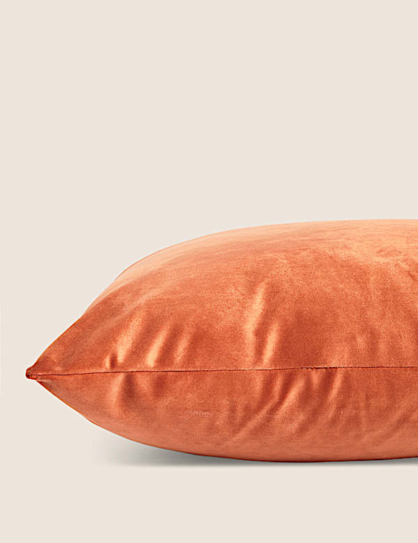 Velvet Cushion