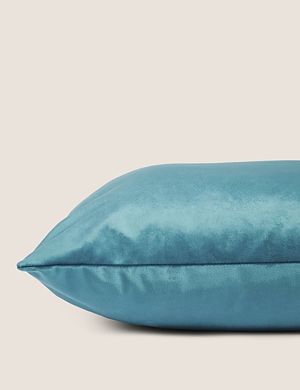 Velvet Cushion