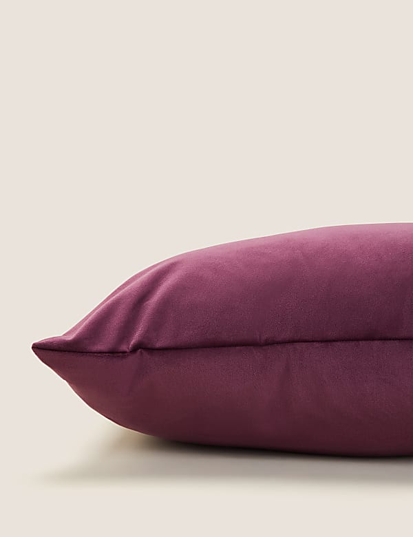 Velvet Cushion