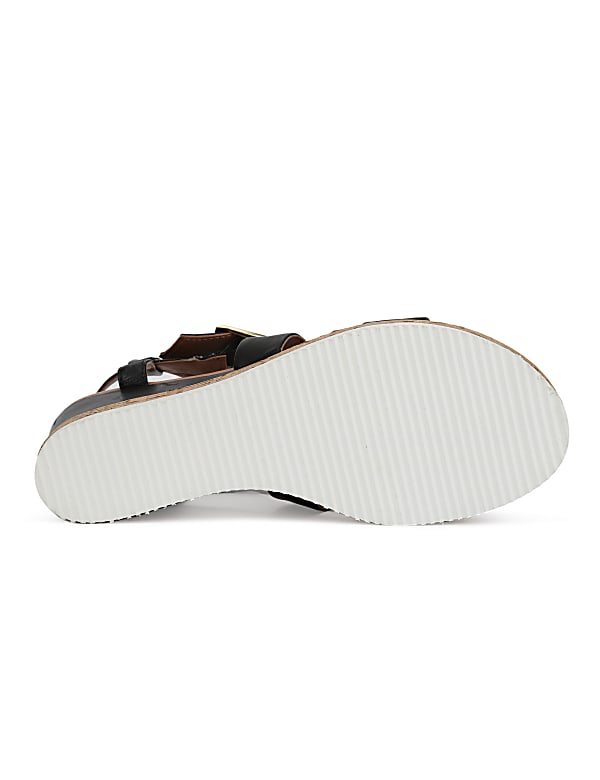 Bebra Shoe