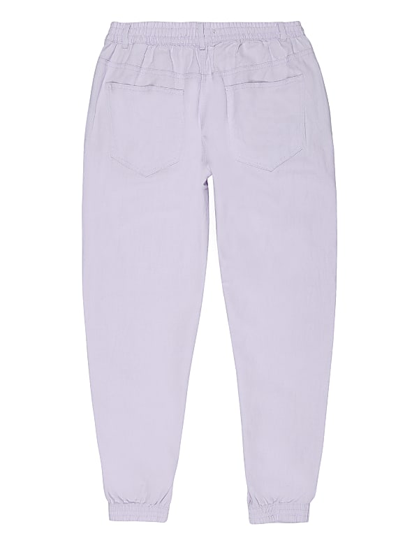 Flax Linen Mix Plain Regular Fit Trouser