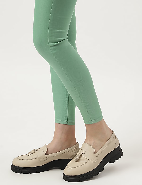 Cotton Mix Plain Regular Fit Jeggings