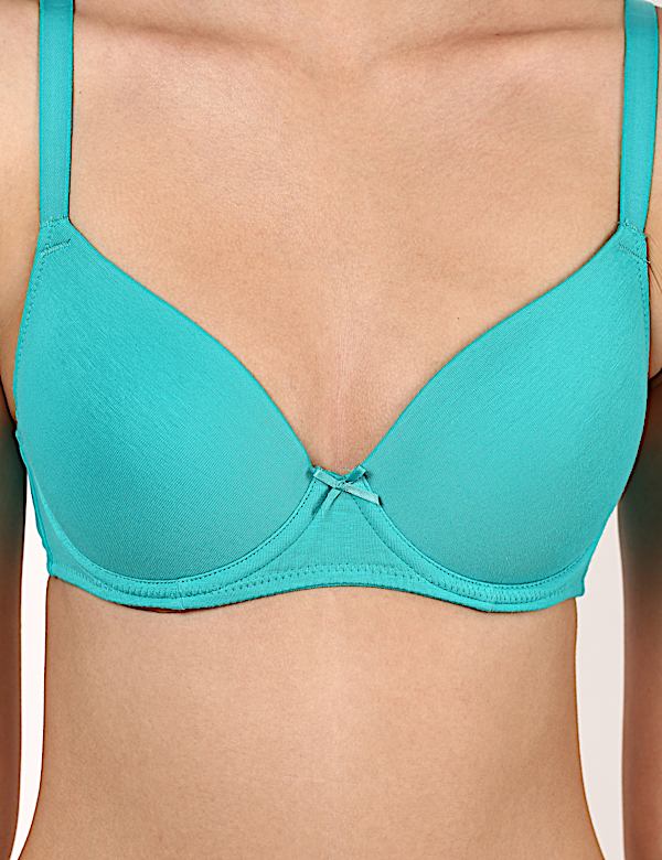 Padded Wired Full Cup Bra