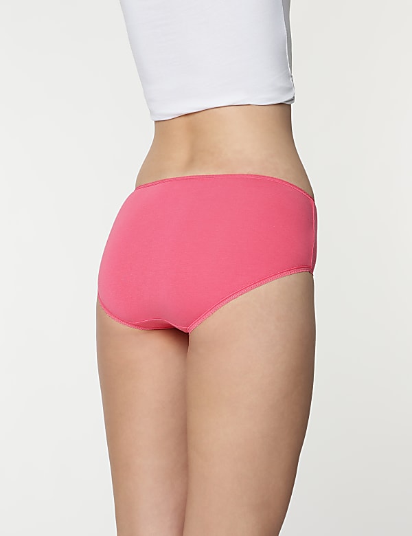 3pk Plain Midi Knickers