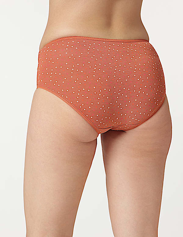 3pk Cotton Rich Midi Knickers