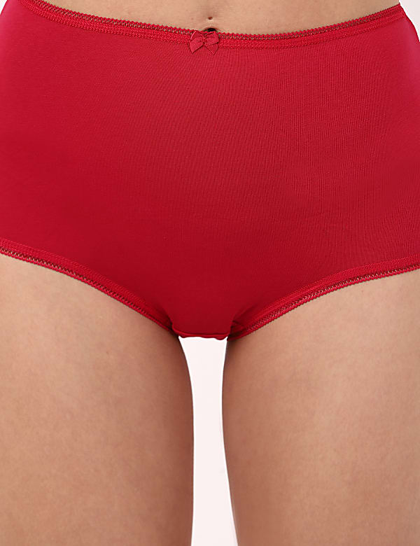 INT 5p Tonal Berry Full Brief
