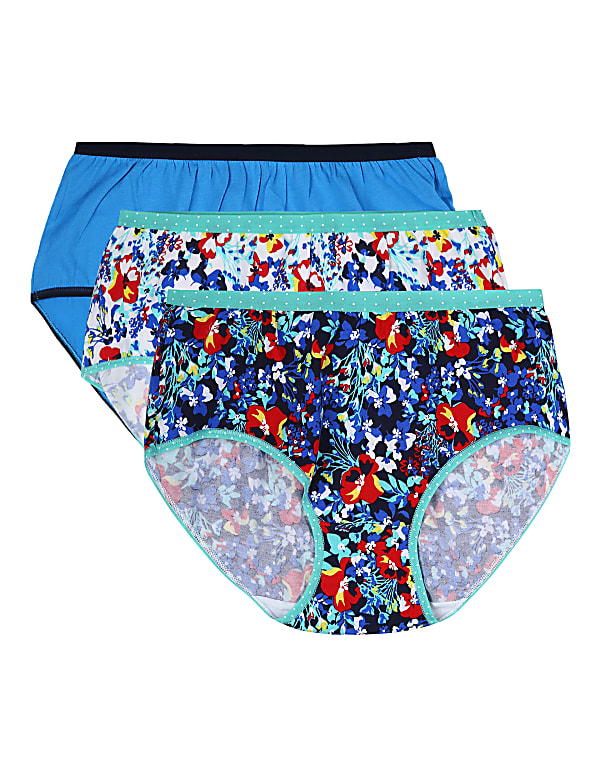 INT 3PK Painterly Floral Full Brief