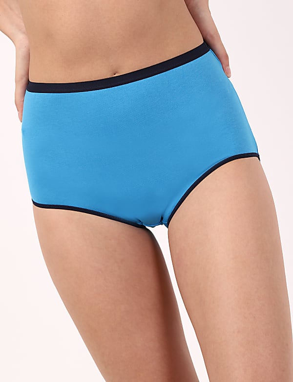 INT 3PK Painterly Floral Full Brief