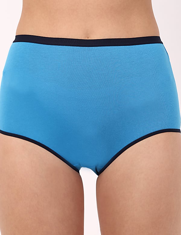 INT 3PK Painterly Floral Full Brief