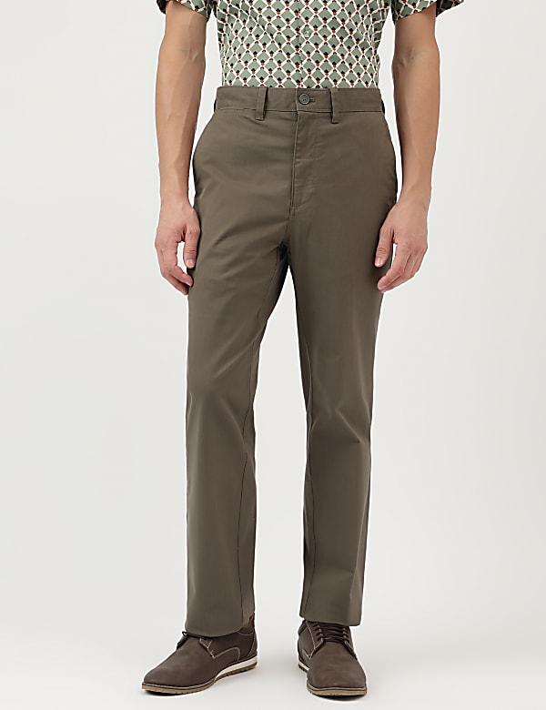 Regular Fit Pure Cotton  Plain Chinos