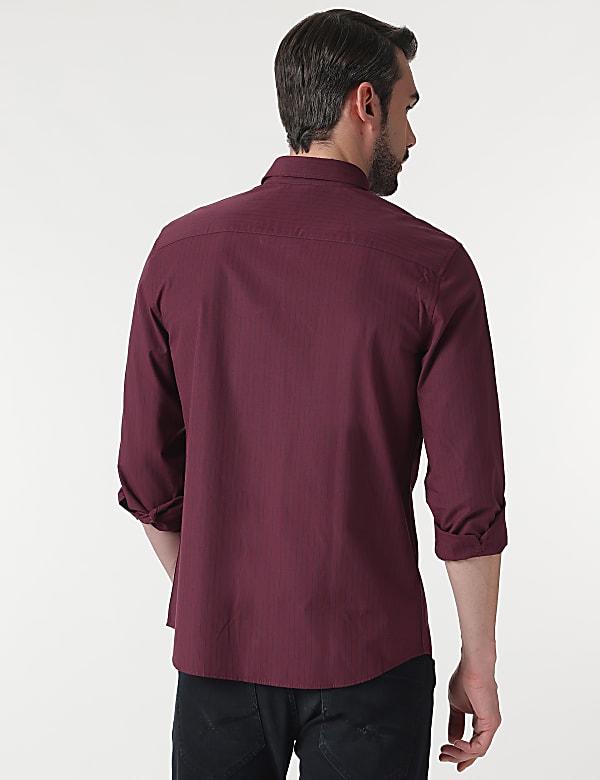 Cotton Rich Button Down Collar Shirt