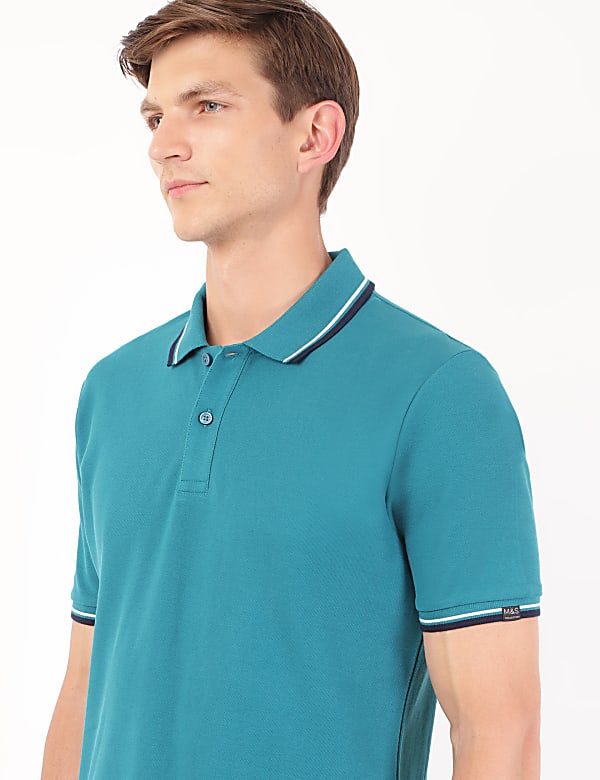 Pure Cotton Striped Polo Neck T-Shirt