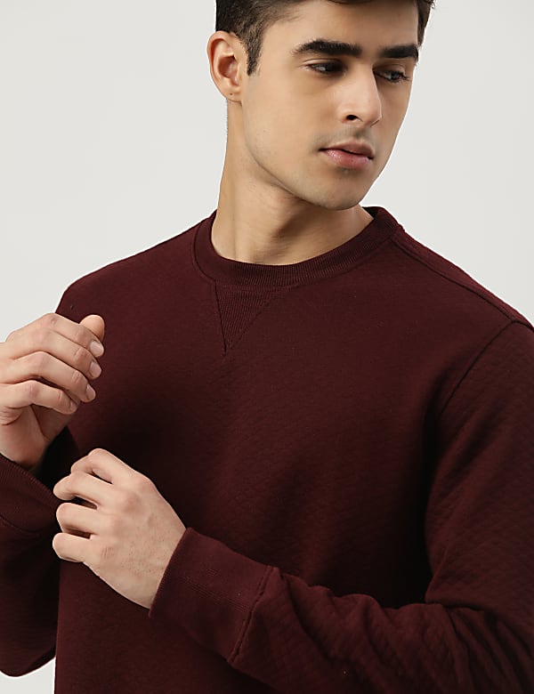Round Neck Solid Sweatshirt