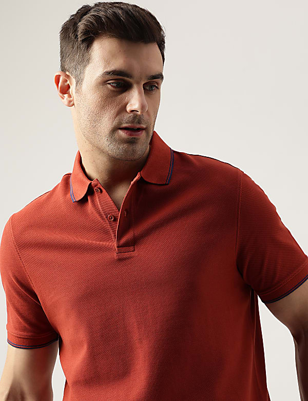 Cotton Striped Spread Collar Polo T-Shirt