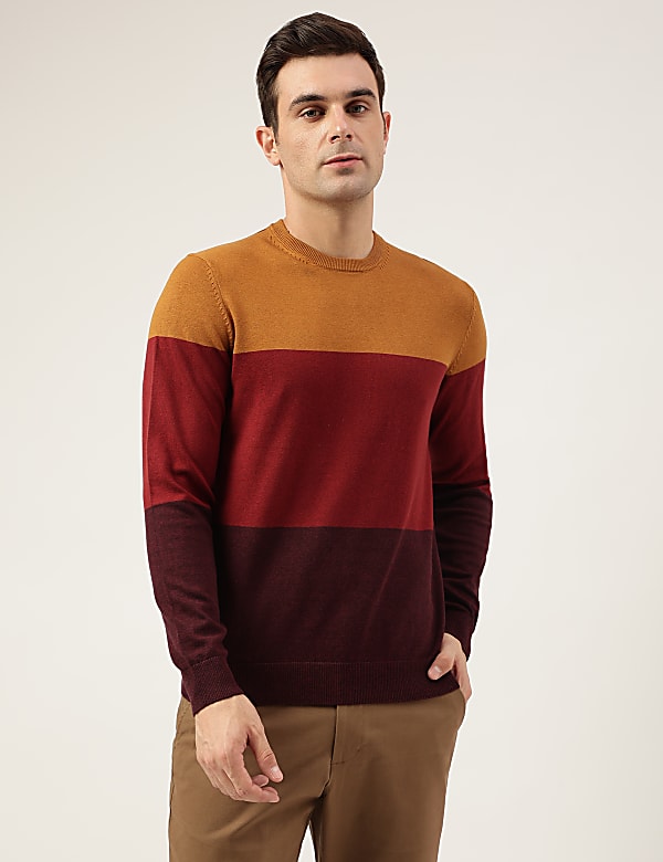 Pure Cotton Colorblocked Round Neck Jumper