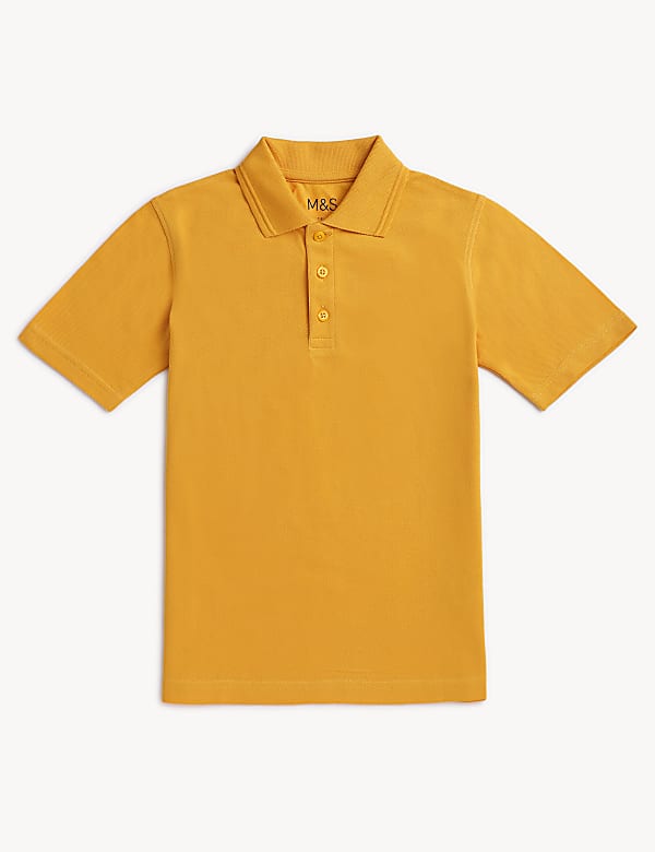 Pure Cotton Solid Polo T-Shirt