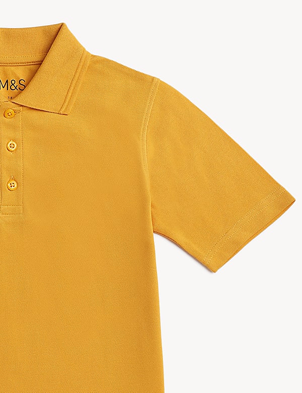 Pure Cotton Solid Polo T-Shirt