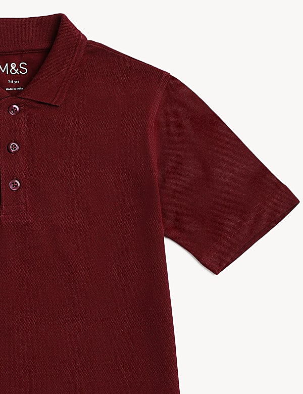 Pure Cotton Solid Polo T-Shirt