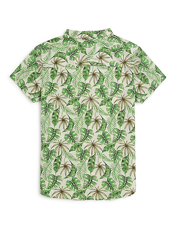 Pure Cotton Tropical Spread Collar Shirt