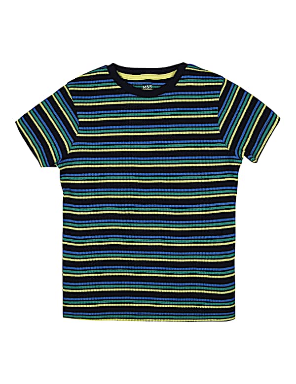 SS Crocodile 3pk Tee (2-7 Yrs)