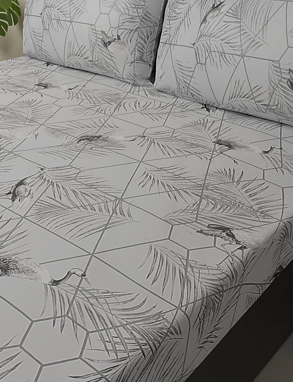 Pure Cotton Printed Bedsheet Set