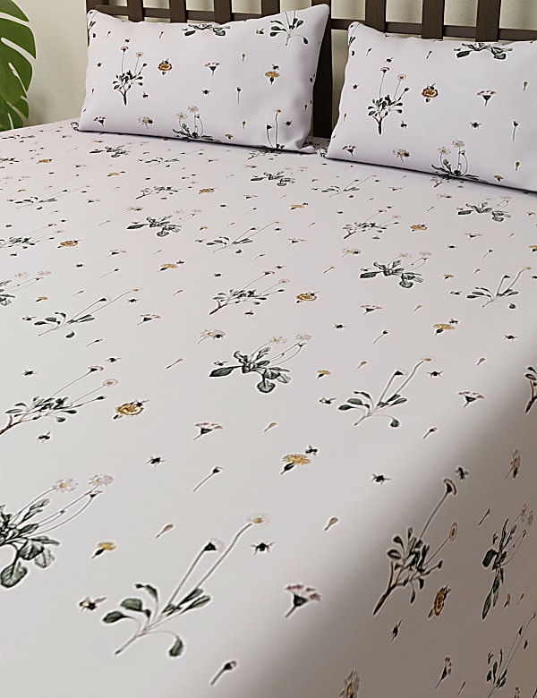 Pure Cotton Super King Bedsheet Set