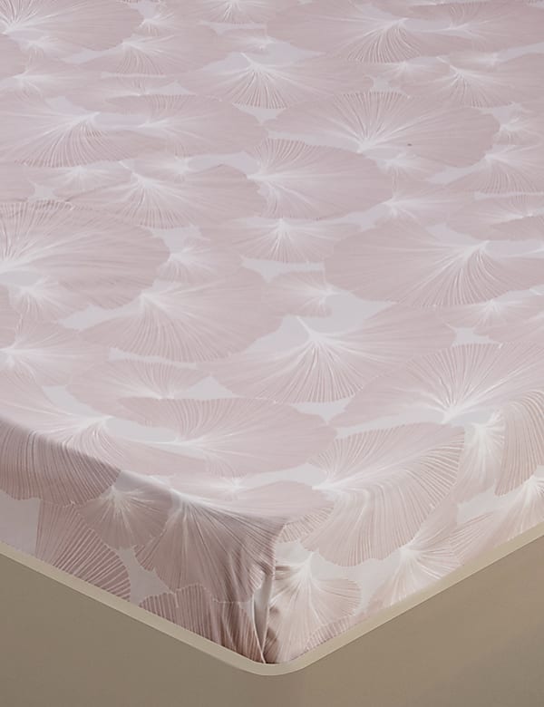 Cotton Mix King Bedsheet Set