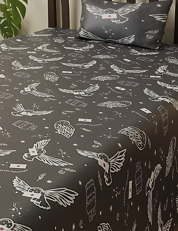 Cotton Mix Printed Single Bedsheet Set