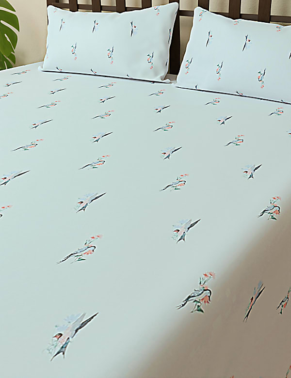 Cotton Mix Super King Bedsheet Set