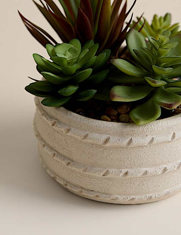 Succulente artificielle en pot en c&eacute;ramique - FR