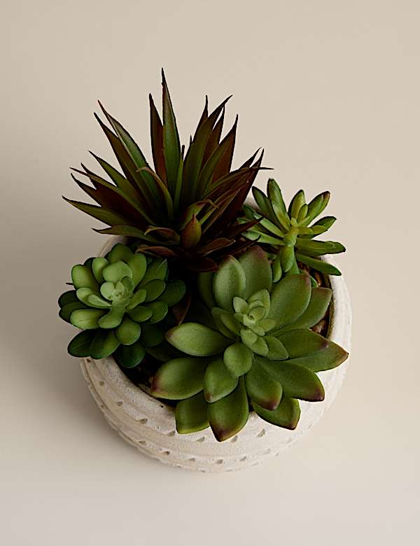 Succulente artificielle en pot en c&eacute;ramique - FR
