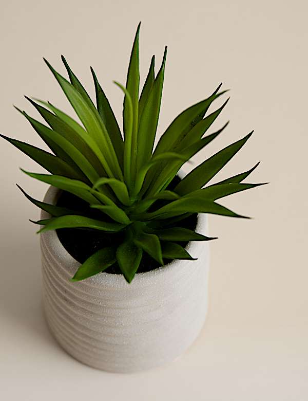 Mini plante a&eacute;ophile artificielle dans un pot en c&eacute;ramique - FR