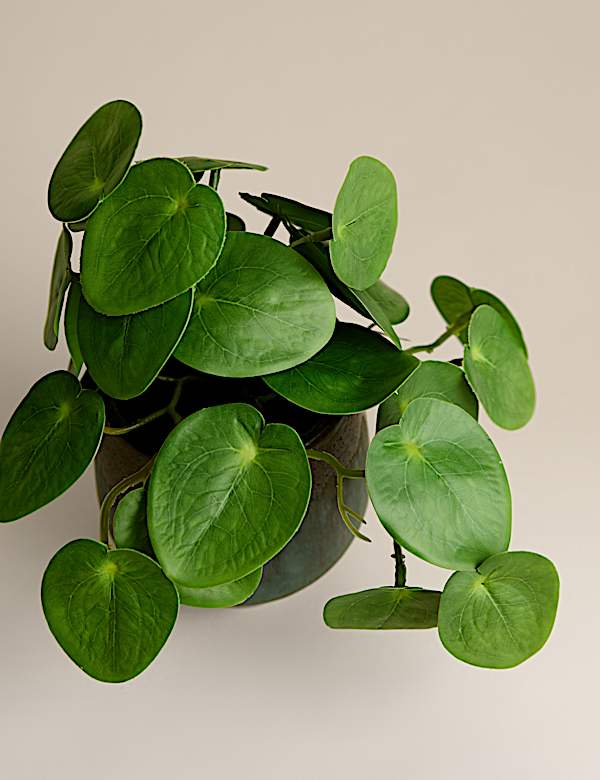 Plante artificielle en pot en c&eacute;ramique - FR