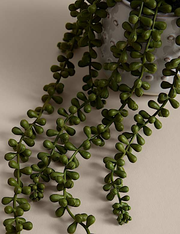 Artificial String of Pearls in Ceramic Pot - TW