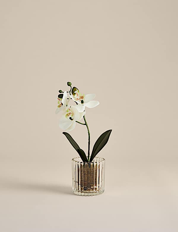 Kleine knstliche Orchidee im Glastopf | Kunstblumen | M&S AT