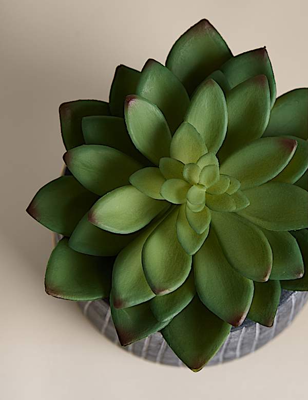 Artificial Succulent in Ridged Cement Pot - CA