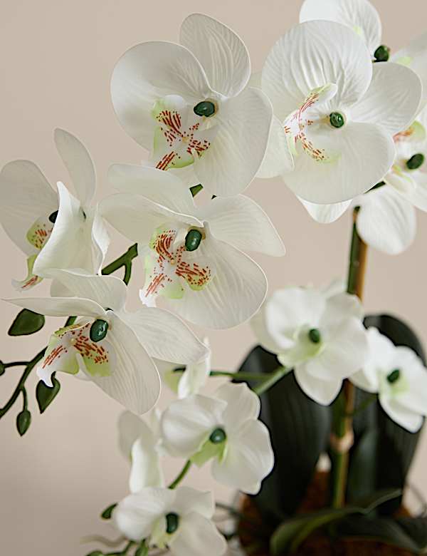 Artificial Medium Orchid in Glass Pot - CH