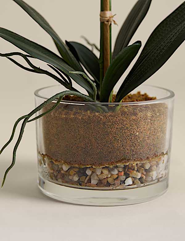 Artificial Medium Orchid in Glass Pot - CH