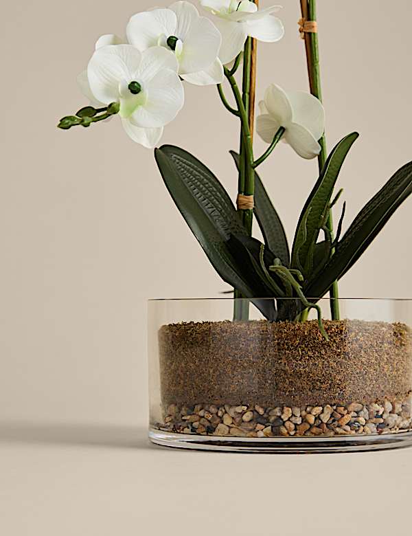 Artificial Large Orchid in Glass Pot - MV