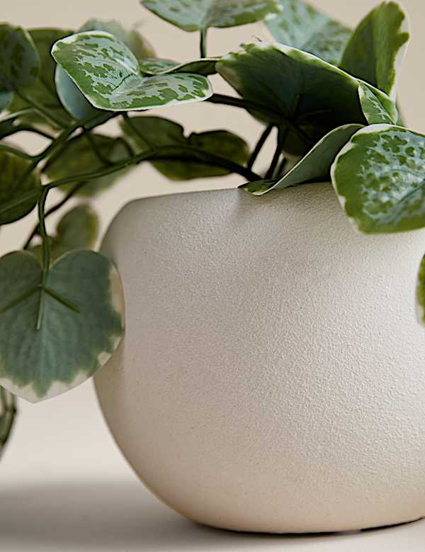 Artificial Trailing Eucalyptus in Pot - UA