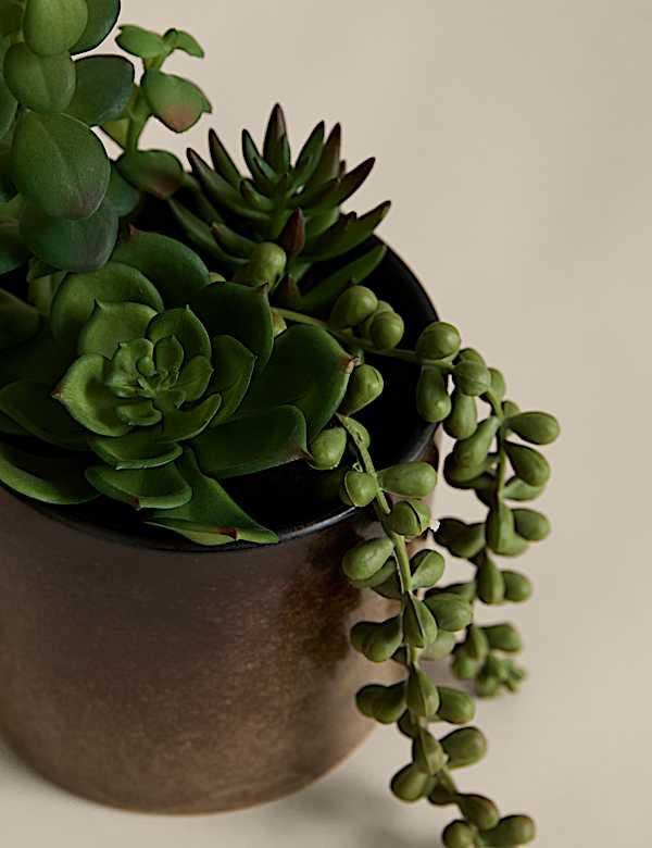 Artificial Succulent Family in Reactive Glaze Pot - BN