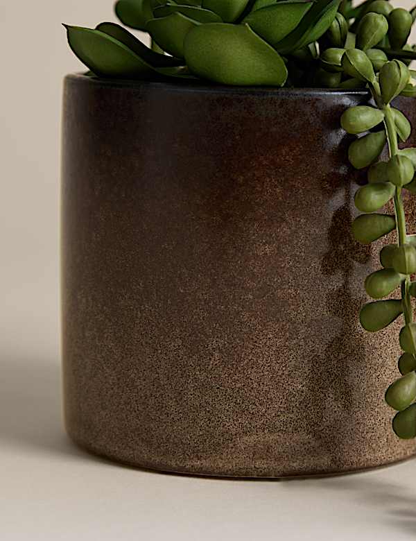 Artificial Succulent Family in Reactive Glaze Pot - BN