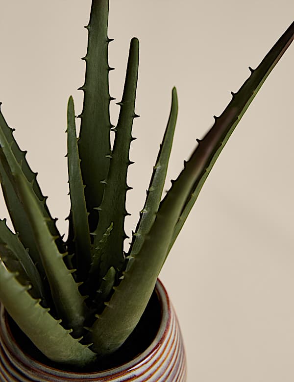 Artificial Aloe Vera in Ceramic Pot - JO